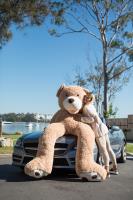 Teddybear Australia image 2